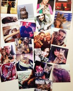 13217084_10207755813906469_4205939495721225005_o